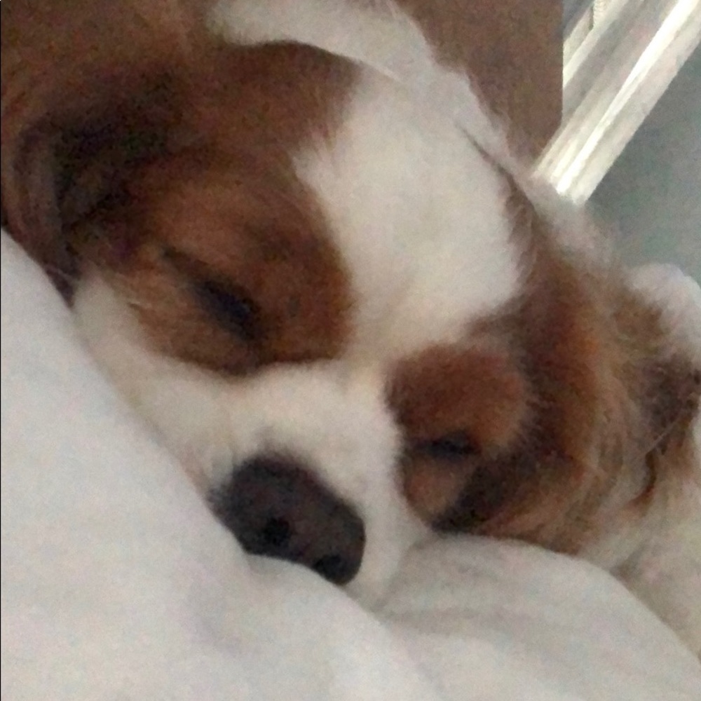 Meet your Posher, Lisa